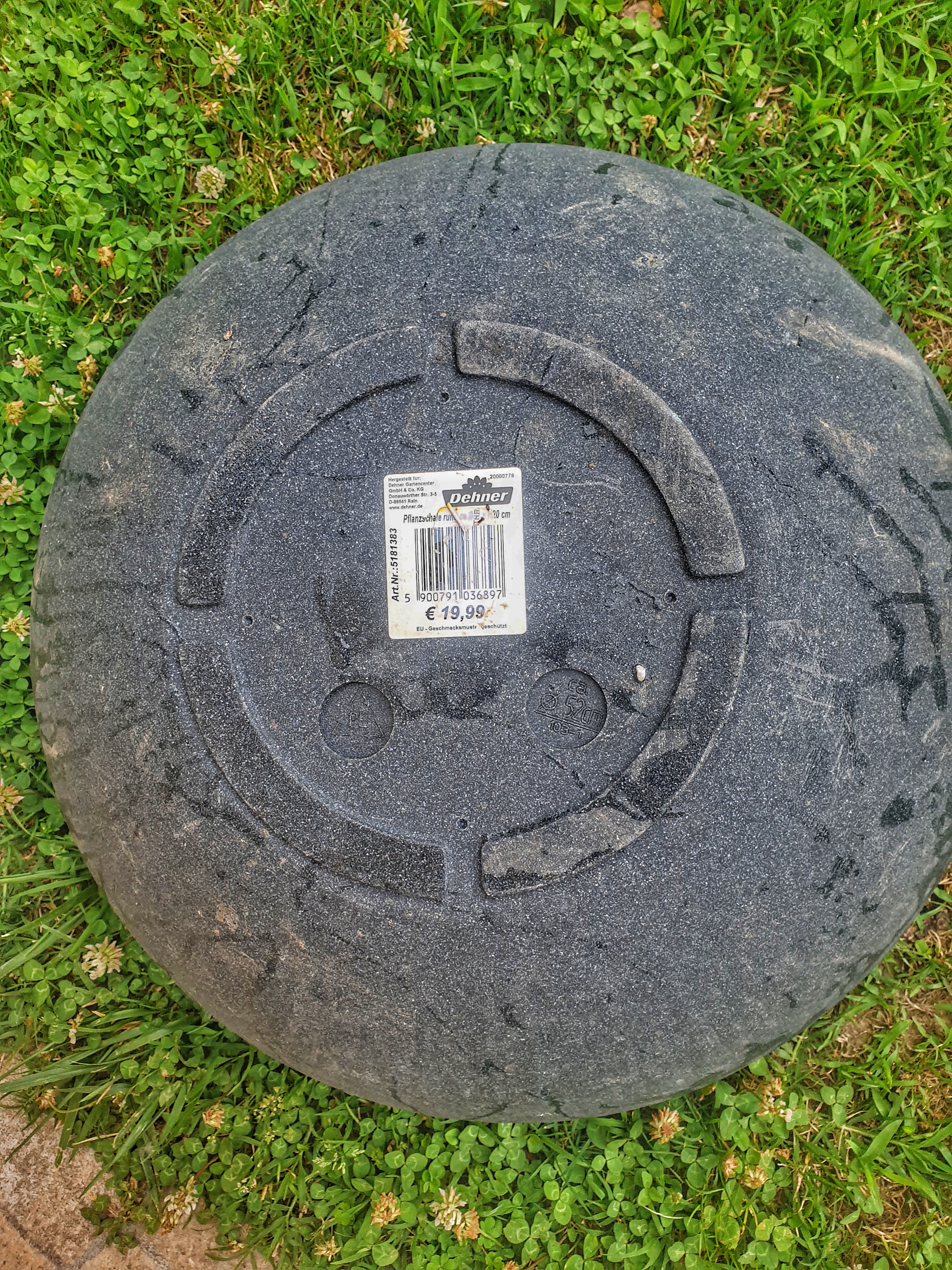 Dehner Kugelschale Pflanzschale Ø52cm anthrazit Miniteich