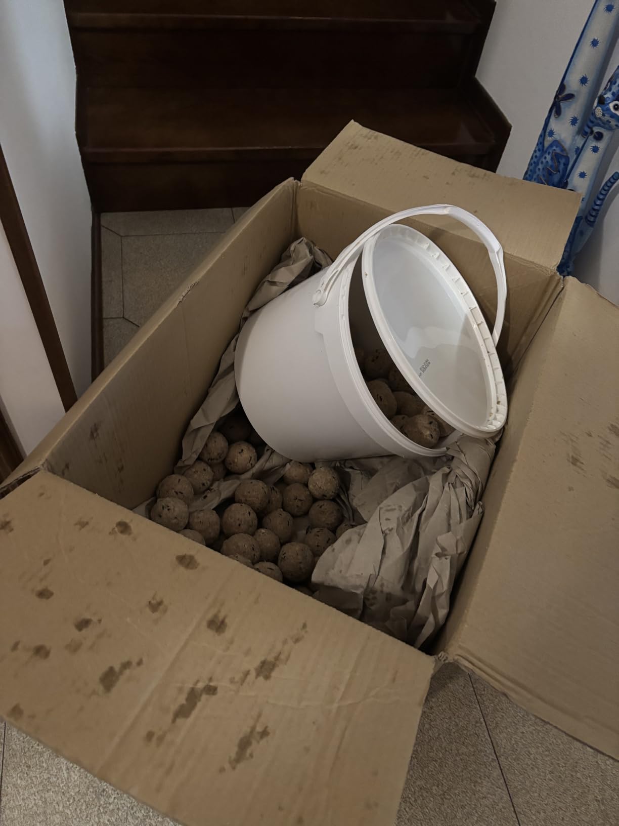 Dehner Natura Meisenknödel Beere ohne Netz 100x90g Eimer