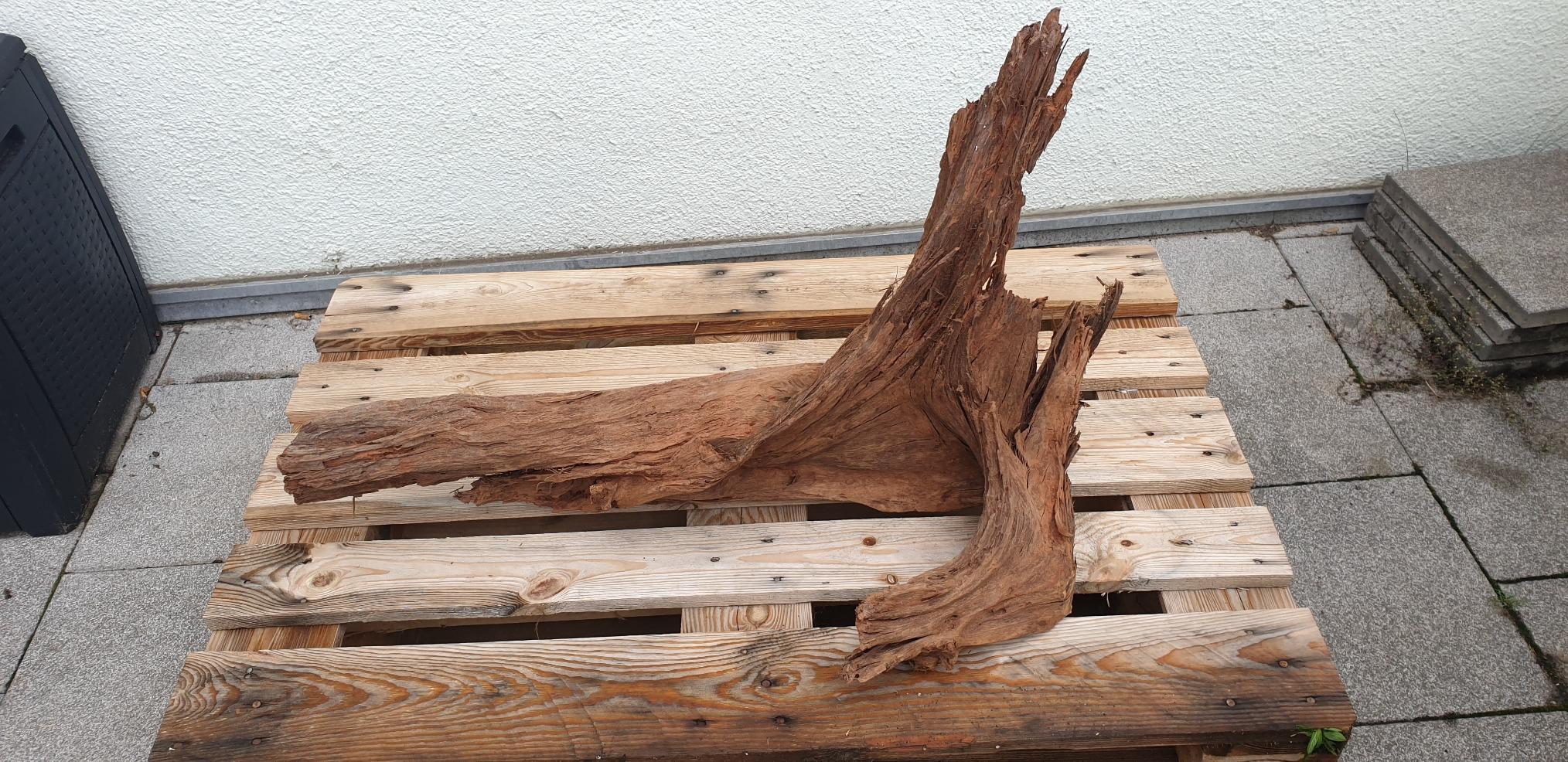 Dehner Aqua Mangrovenwurzel Extra Large Aquariendeko 80-90 cm