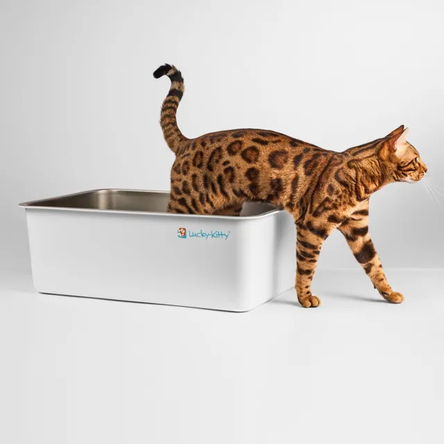 Lucky-Kitty Katzentoilette XXL Edelstahl mattiert 50L Antihaft