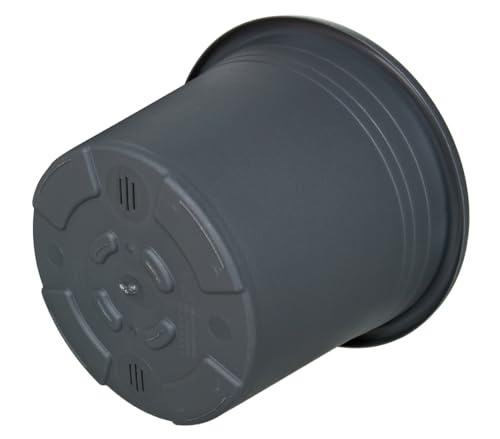 Dehner Cylindro Blumentopf Kunststoff anthrazit Ø 50 cm