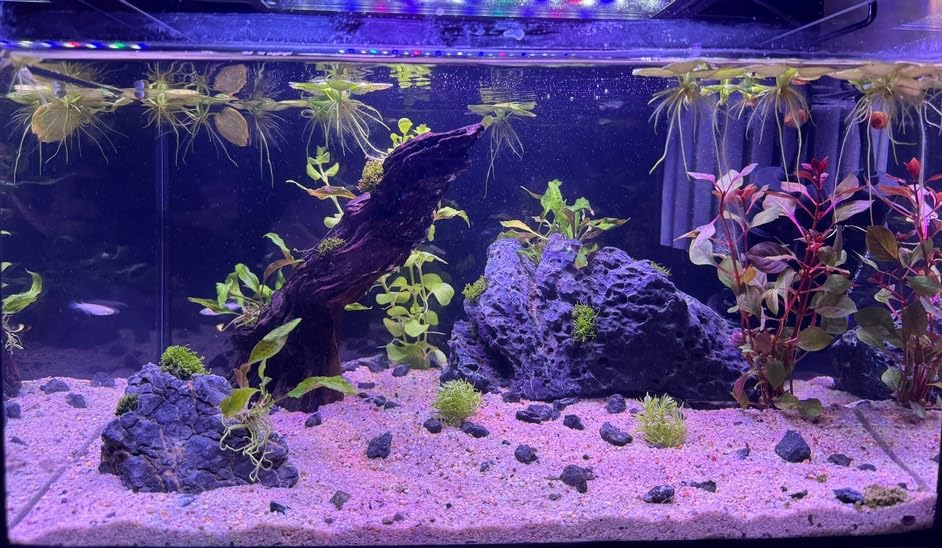 Dehner Aqua Aquarienkies 2-4 mm 5 kg rot abgerundet