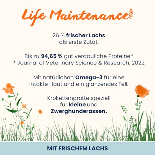 Almo Nature Life Holistic Small Trockenfutter Lachs 2 kg XS-S