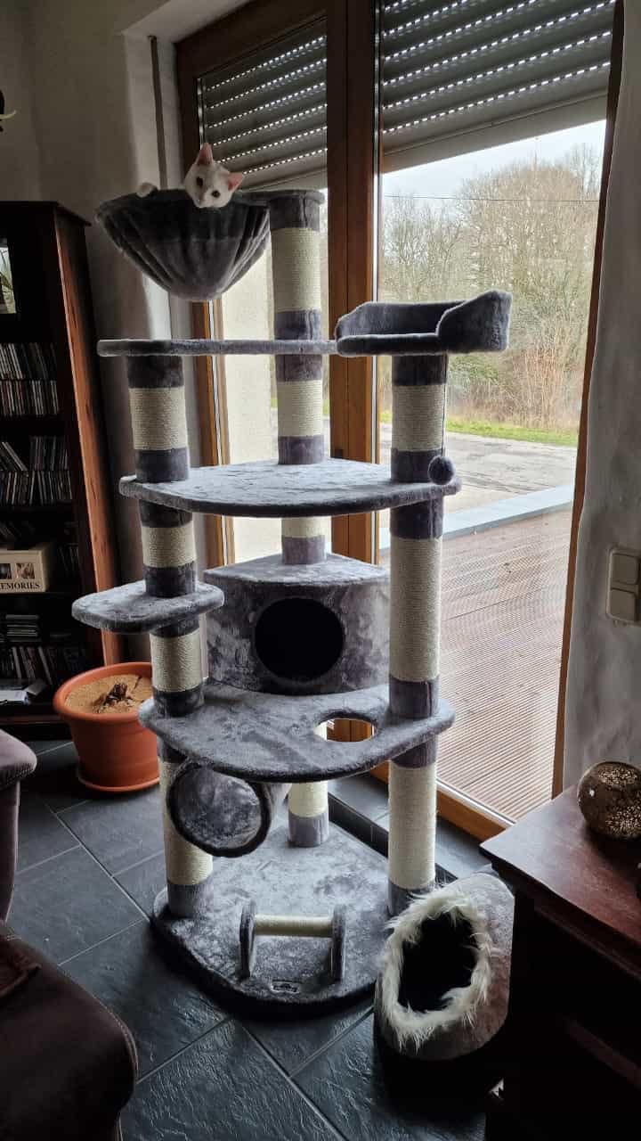 Dehner Edda Kratzbaum 180 cm grau Sisal Plüsch