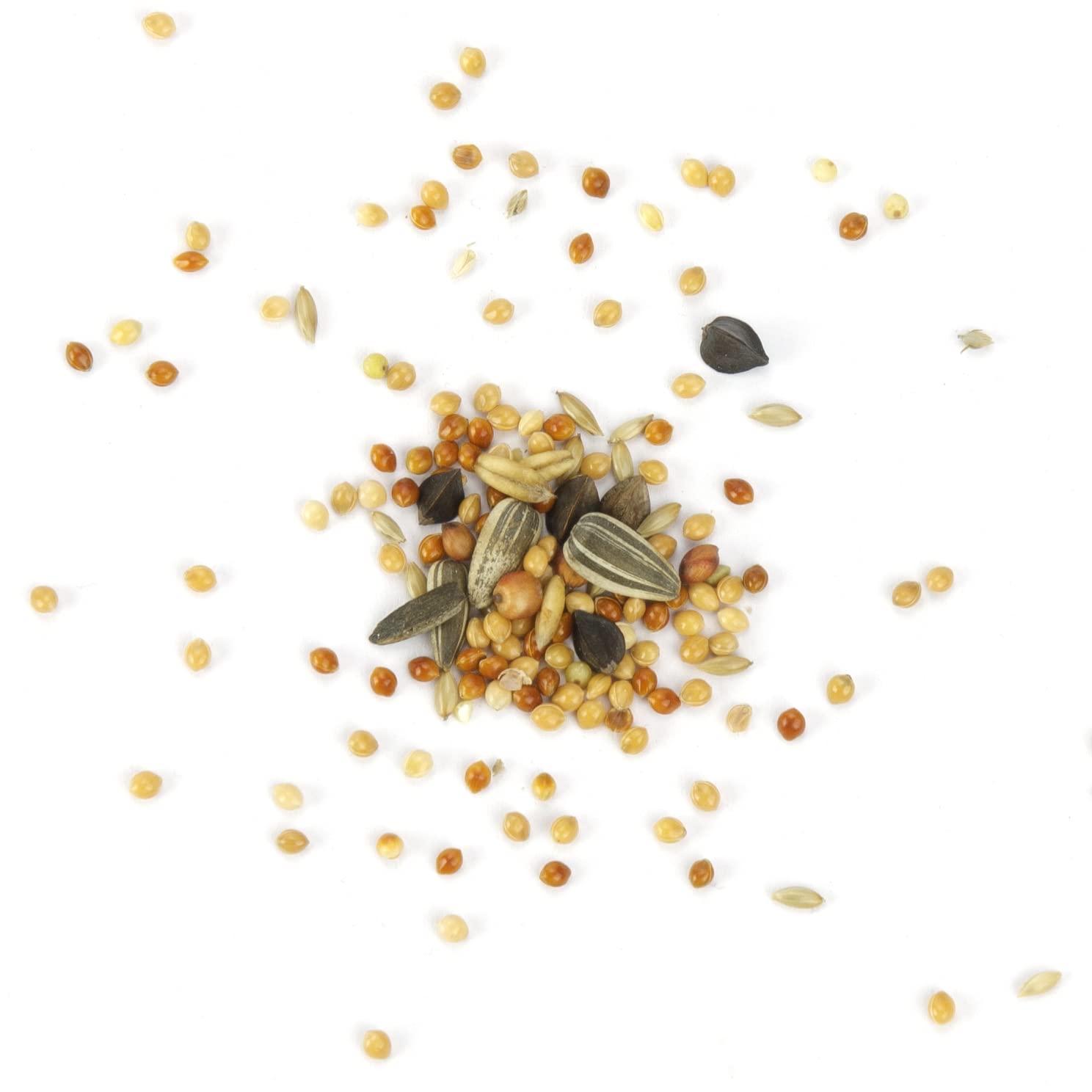 Mr. Crumble Großsittich-Basic Vogelfutter 2,5kg Hirse