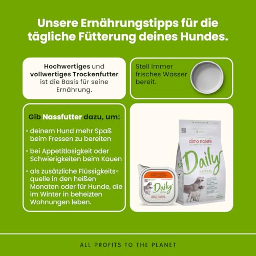 Almo Nature Daily Hundenassfutter 32x100g Kalb Karotte
