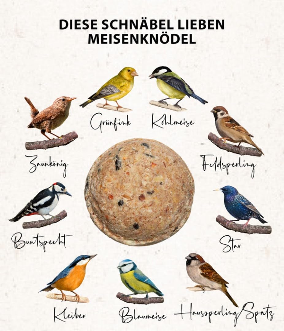 Dehner Natura Meisenknödel o. Netz Nuss 100x90g
