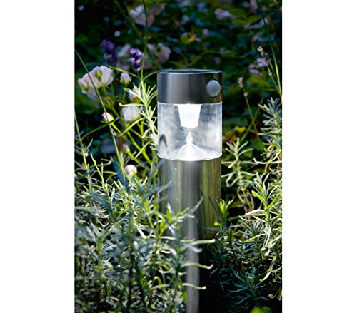 Dehner Solar Wegeleuchte Pir 54,5 cm Edelstahl Sensor