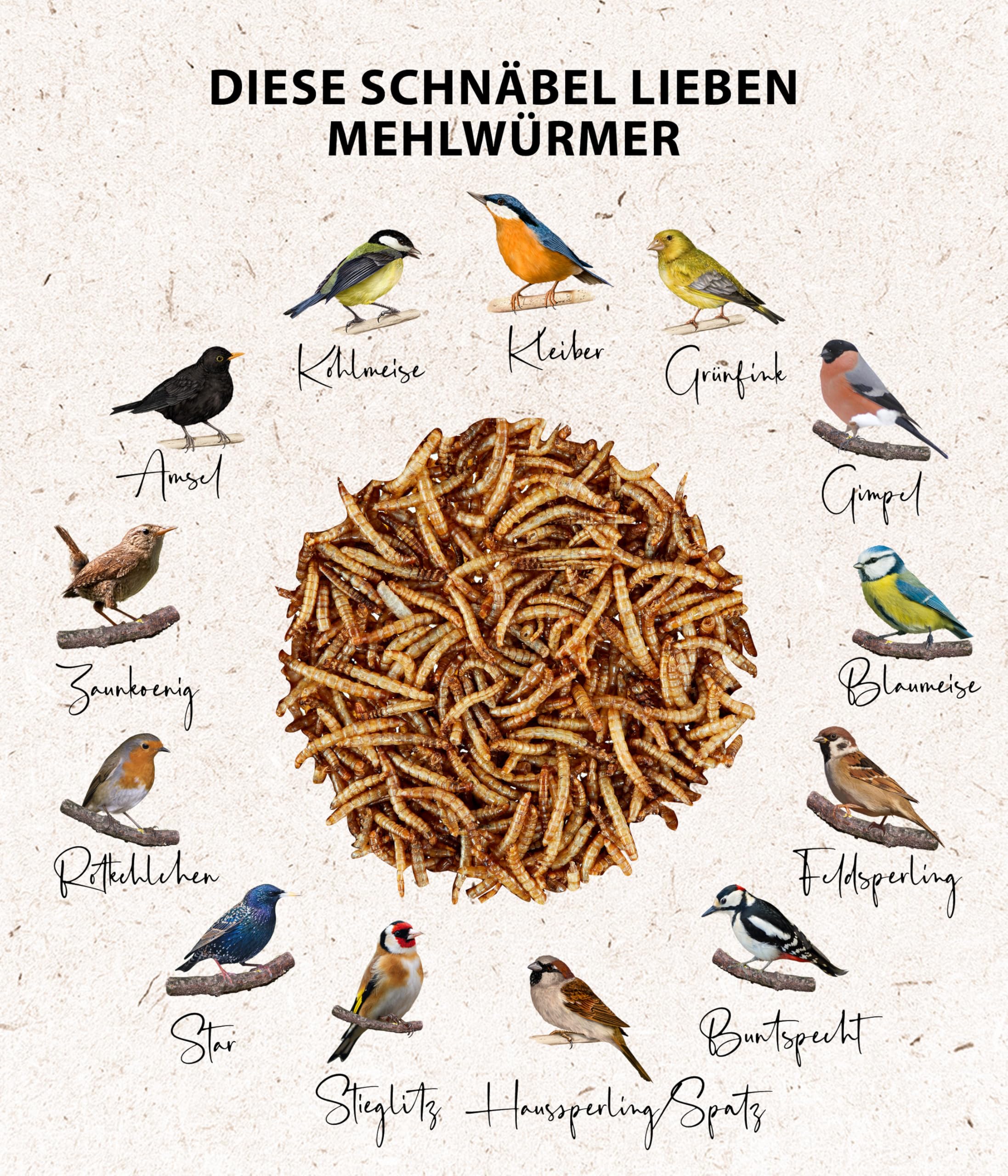 Dehner Lieblinge Mehlwürmer Wildvogelfutter 500g proteinreich