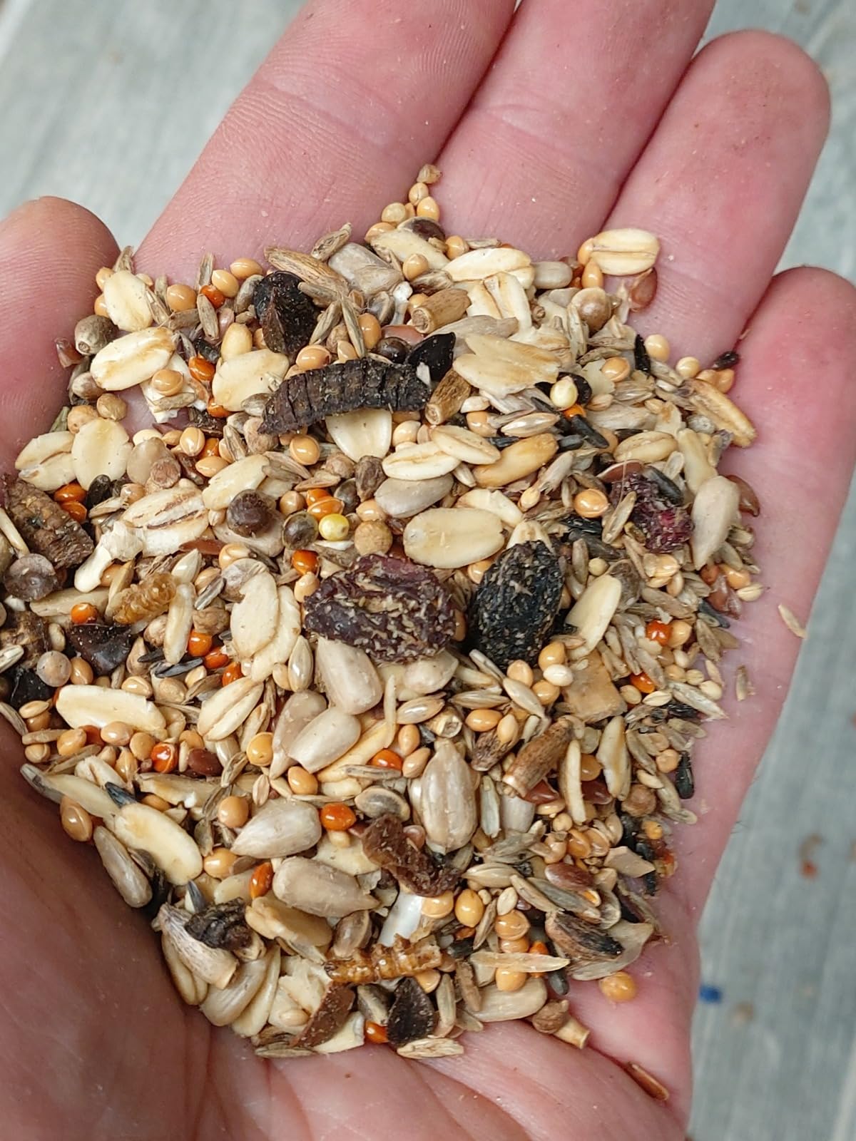 Mr. Crumble Küken-Picknick Vogelfutter Insekten 2,5kg Brutzeit