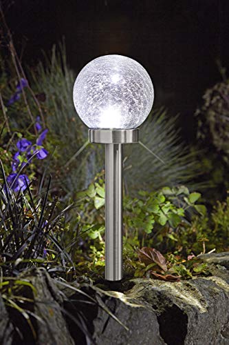 Dehner Premium Evora Solarleuchte 47,5 cm Krakelee