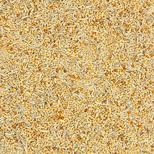 Mr. Crumble Welli-Fit Wellensittichfutter 2,5kg Grassamen