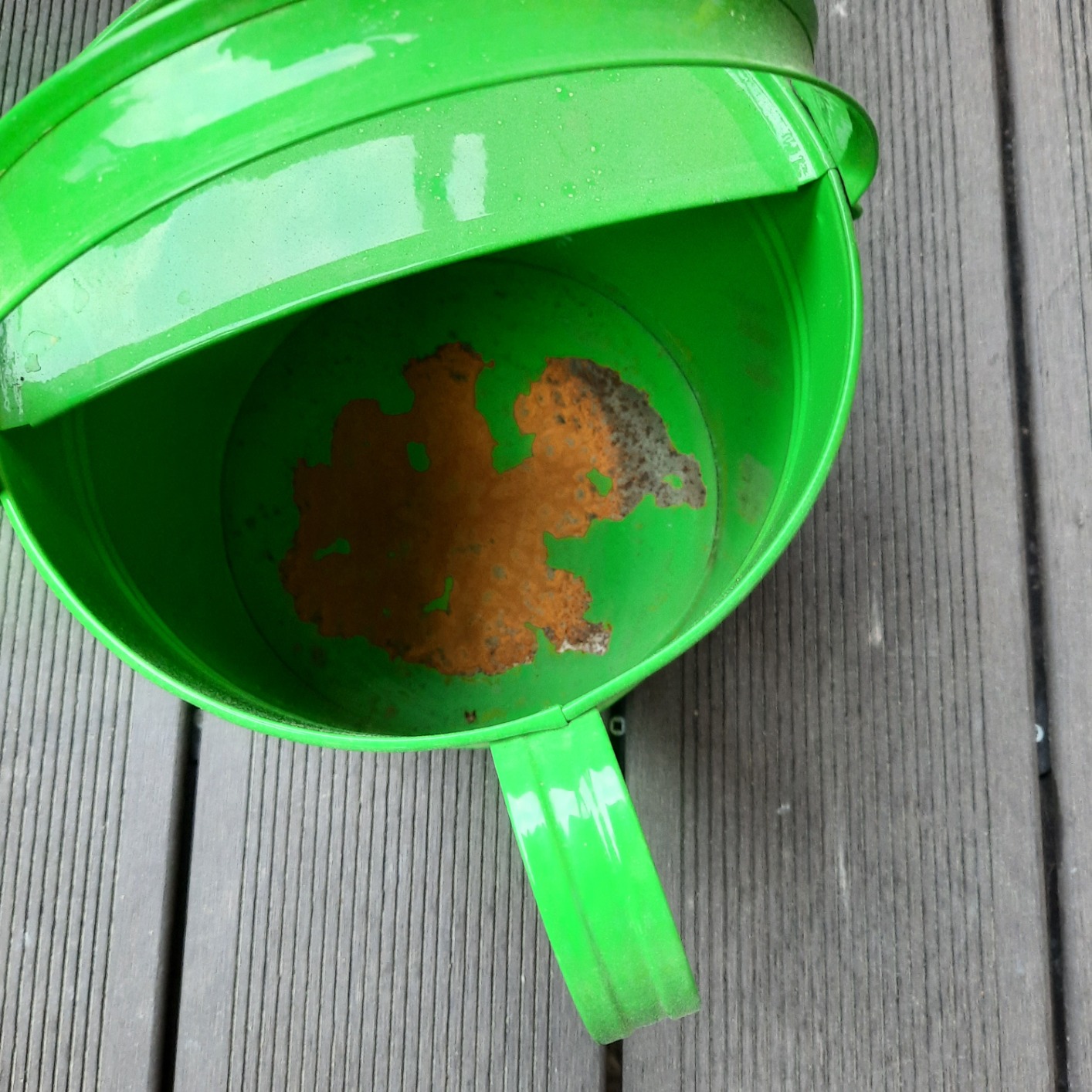 Dehner Premium Lovely Gießkanne nostalgisch Zink 5l grün
