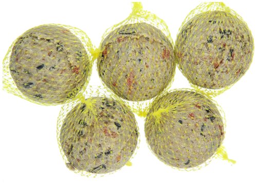 Dehner Premium Lovely Meisenknödel Beeren 30 Stück 3kg