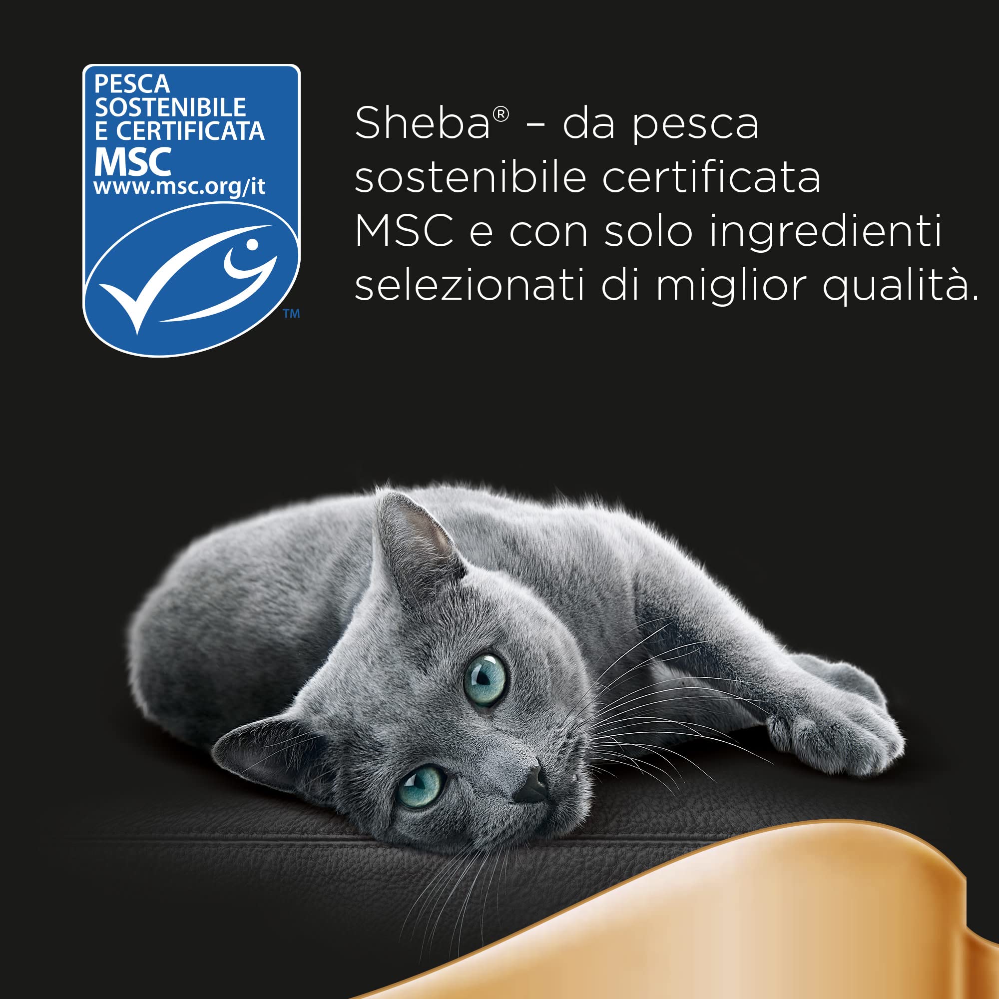 Sheba Multipack Nassfutter Fisch Gelee 60x85g