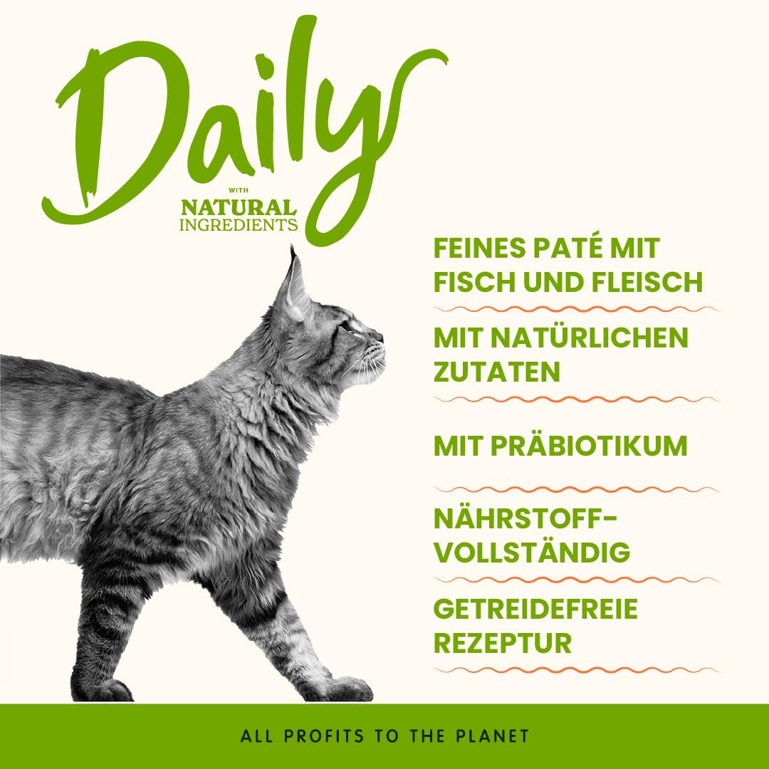 Almo Nature Daily Nassfutter Lachs 32x100 g Paté Adult