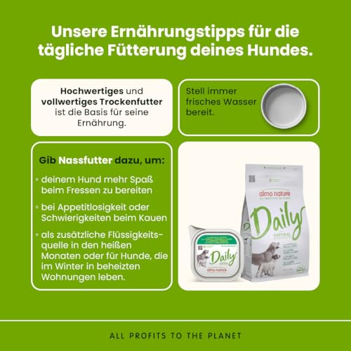 Almo Nature Daily Hundenassfutter Lamm 32x100g glutenfrei