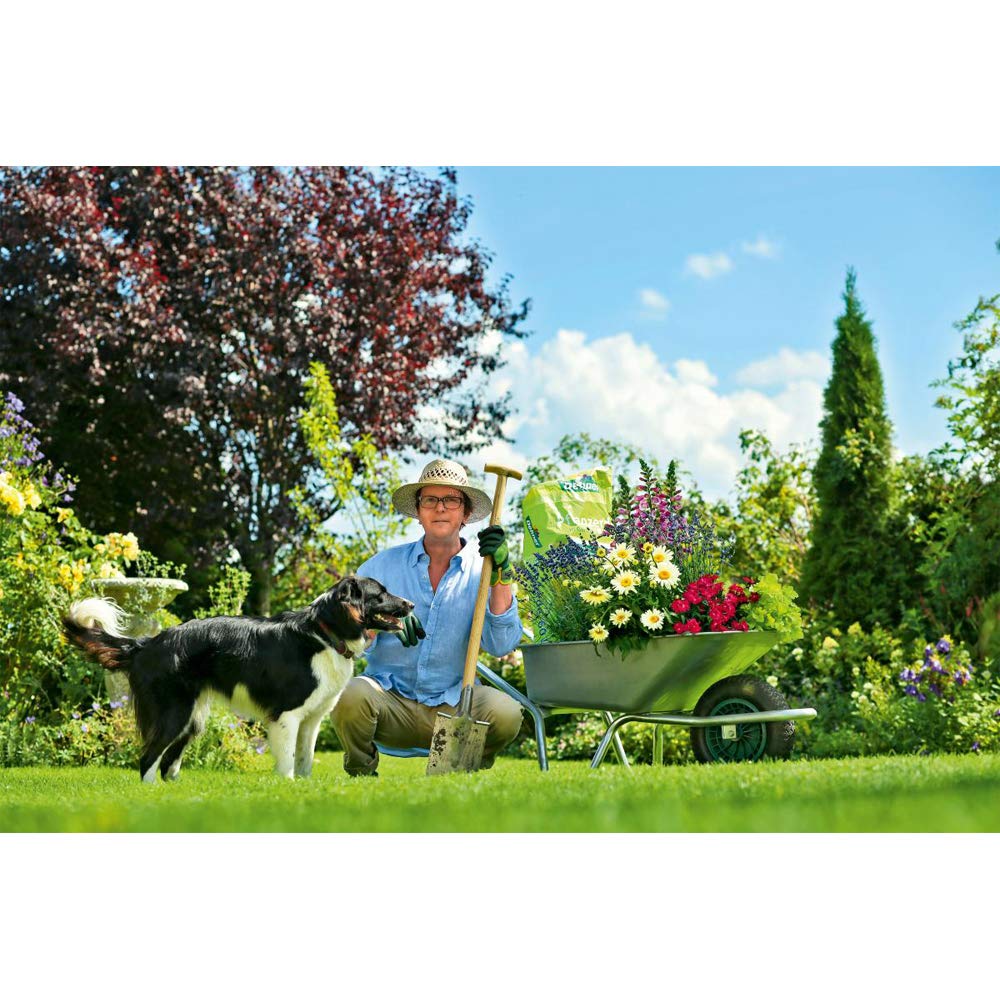 Dehner Expert Gerätehandschuh Gartenhandschuh Gr.9 L