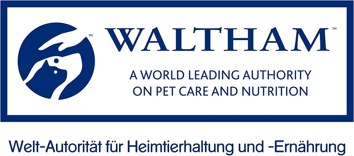 Whiskas Katzenmilch Kitten Snack laktosereduziert 15x200ml
