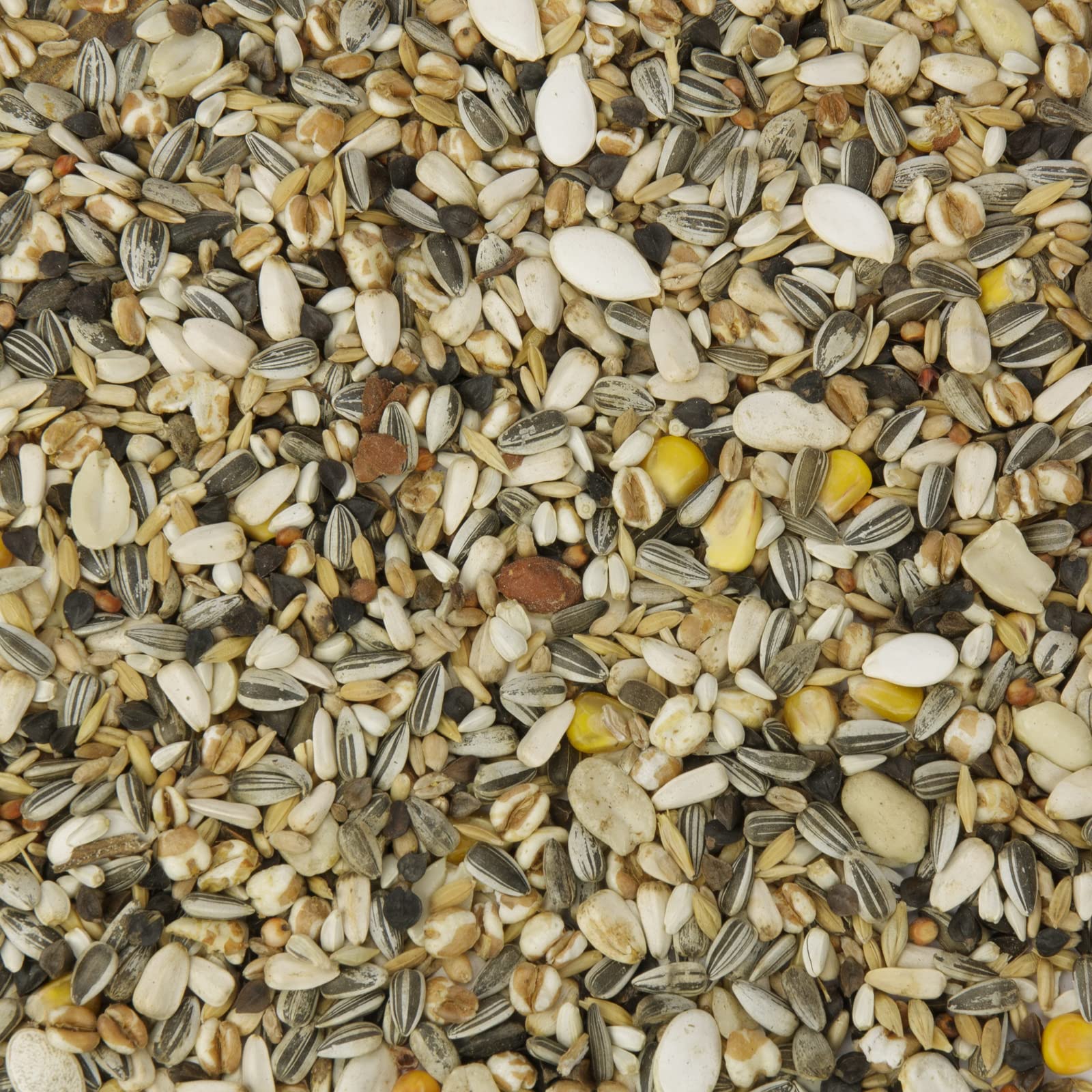 Mr. Crumble Papagei-Basic Papageienfutter 2,5 kg Grundmischung