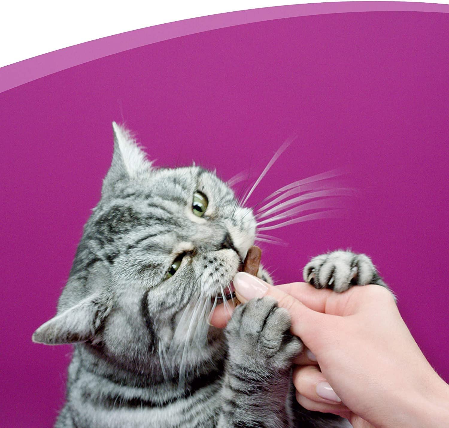 Whiskas Sticks Huhn Katzensnack 504g mit Vitaminen