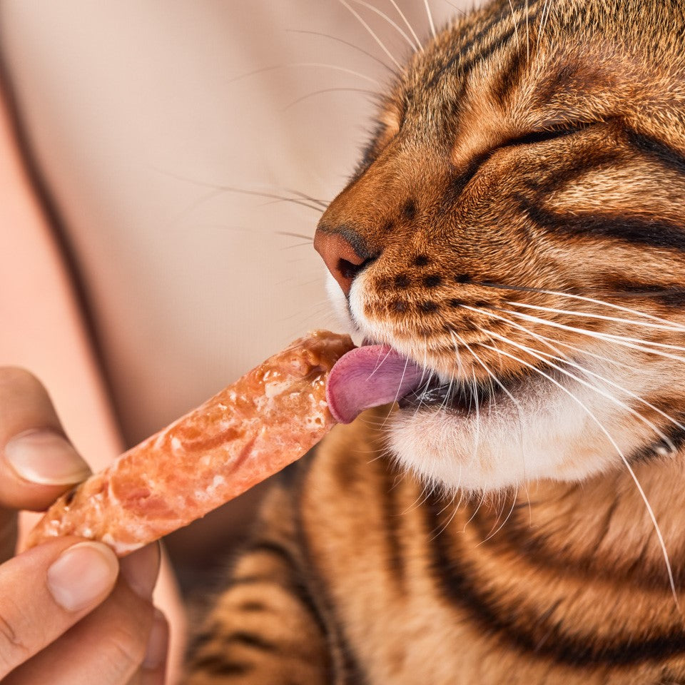 Lucky-Kitty Filet-Sticks Lachs Snack 4 Stück 98,5% Fleisch