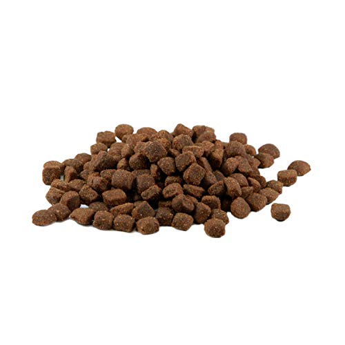 Mr. Crumble High Energy Hundefutter 15 kg energiereich