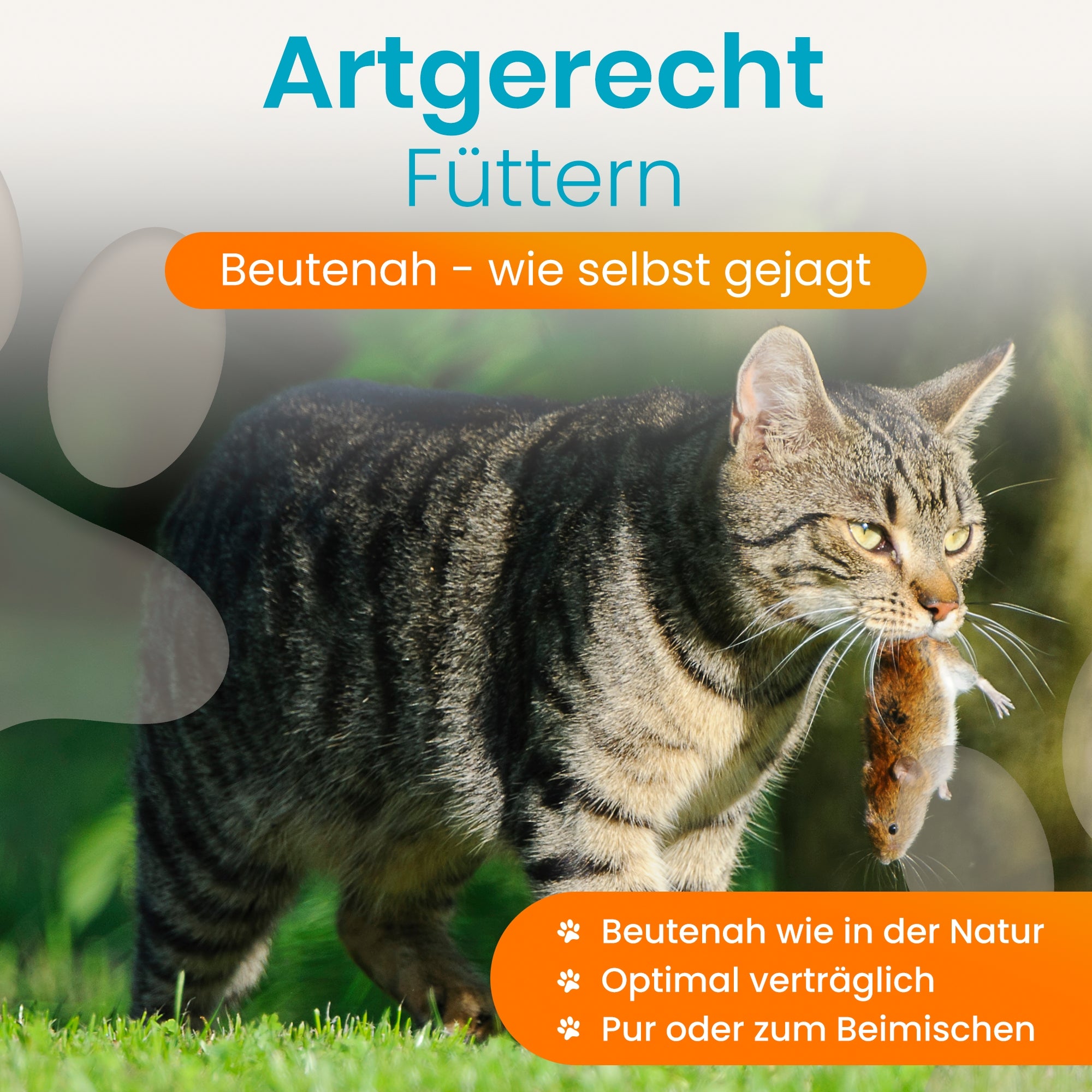 Lucky-Kitty Maus Pur Nassfutter Katze 100g getreidefrei Allergiker