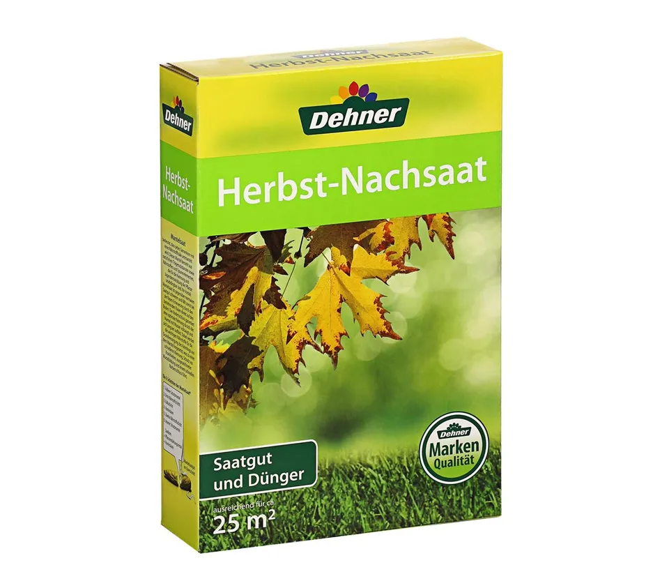Dehner Herbstrasen-Nachsaat Rasensamen 1kg für 25qm