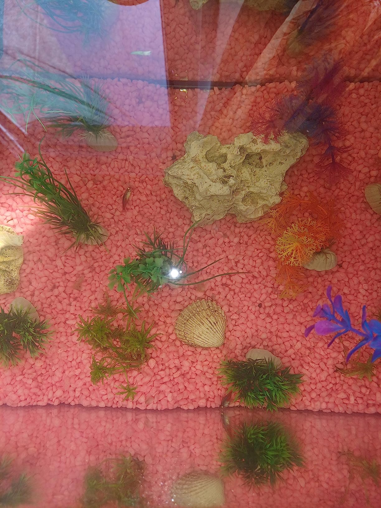 Dehner Aqua Aquarienkies 4-6 mm pastellgrün 5 kg