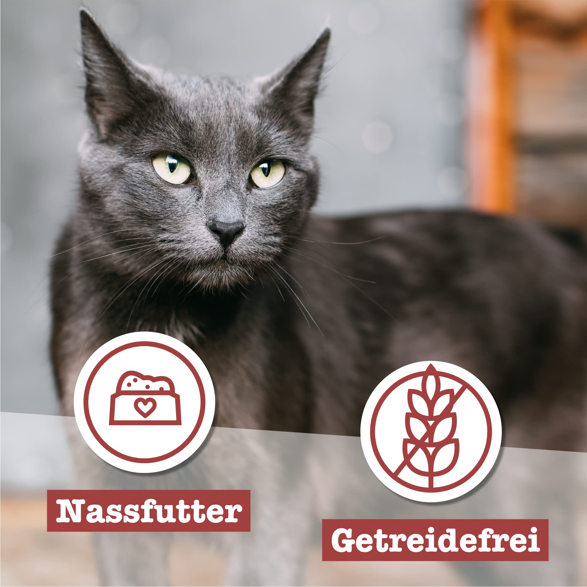 catz finefood Classic Senior Katzennassfutter Huhn 16x85g getreidefrei