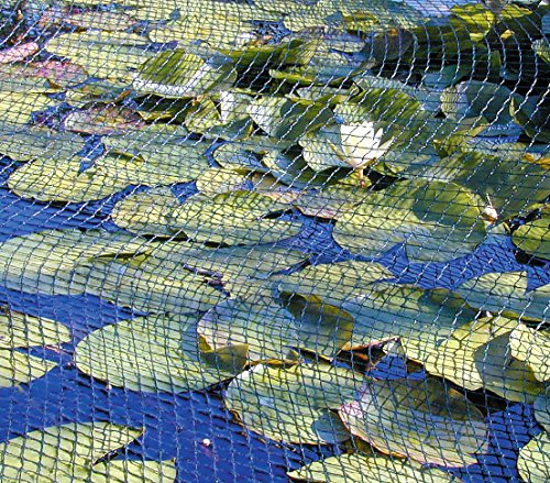 Dehner Teich Laubschutznetz 6x4m grün 20mm