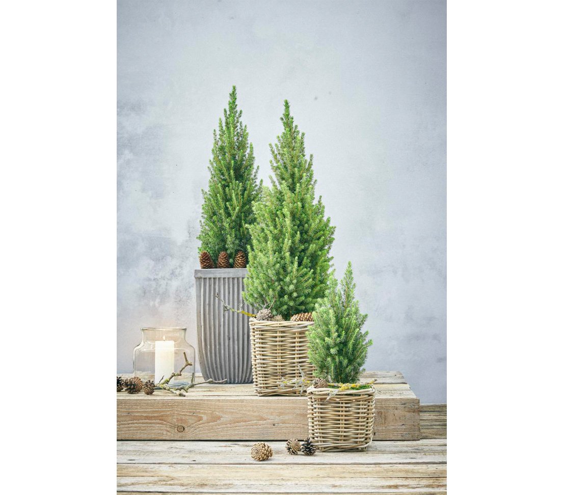 Dehner Premium Lovely Rattan Pflanztopf 27 cm grau-braun