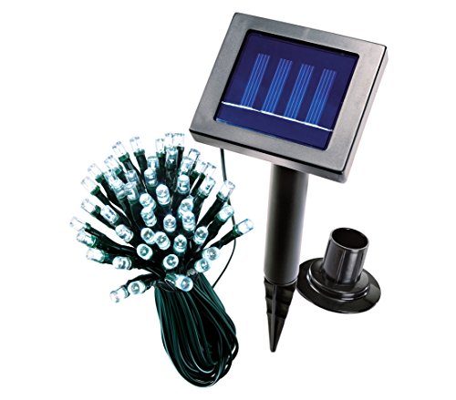 Dehner Living Lichterkette Solar 48 LED 12 m Blinklicht