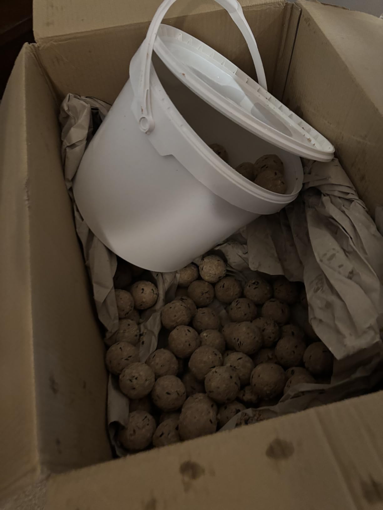 Dehner Natura Meisenknödel Beere ohne Netz 100x90g Eimer