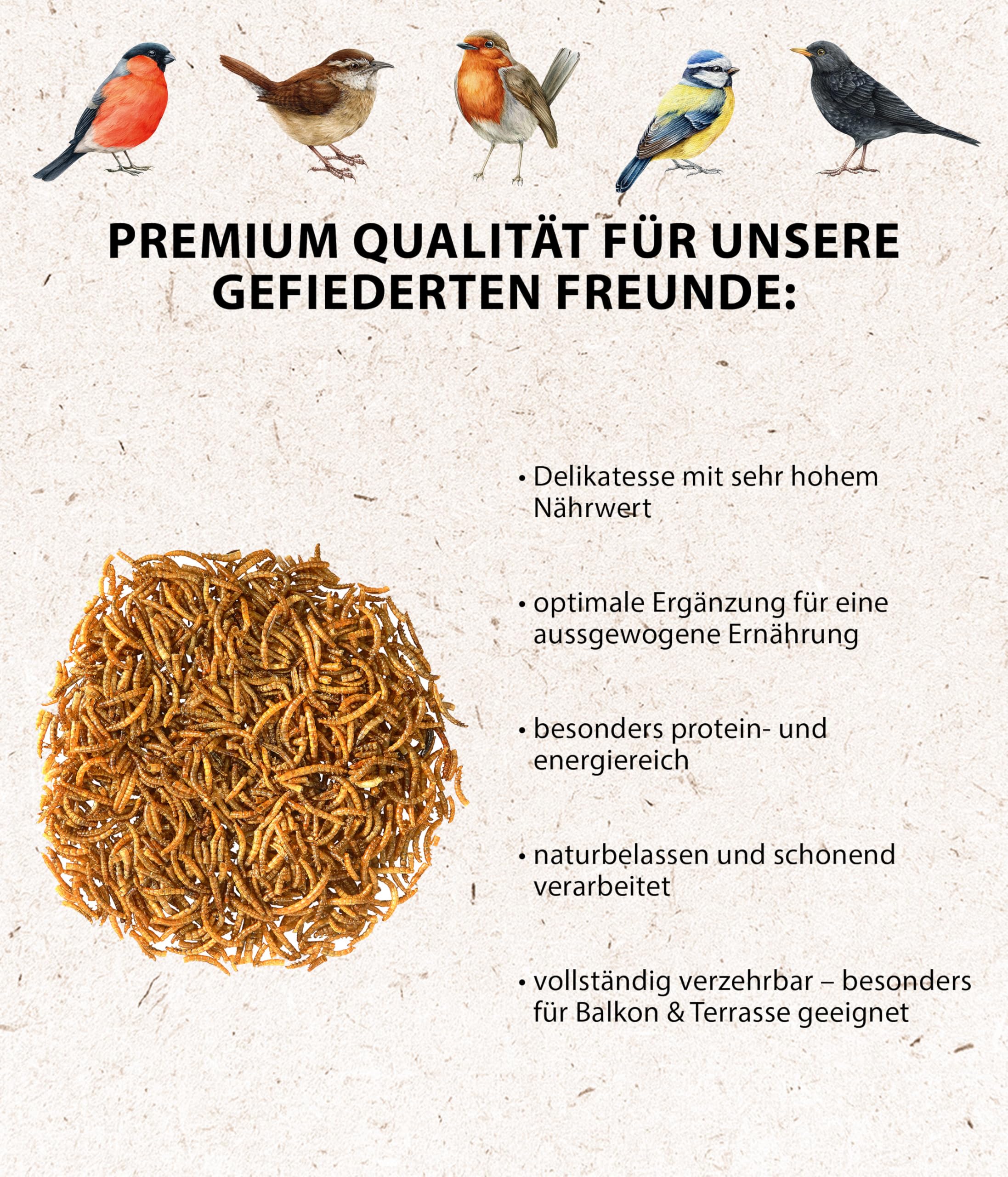 Dehner Lieblinge Mehlwürmer Wildvogelfutter 500g proteinreich