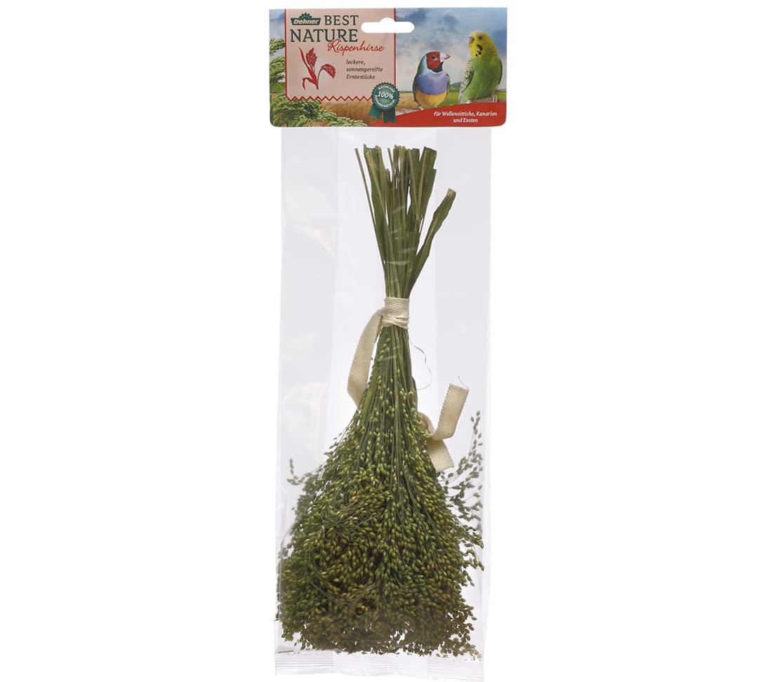 Dehner Best Nature Knabberhalme Rispenhirse Vogelsnack 10x50g