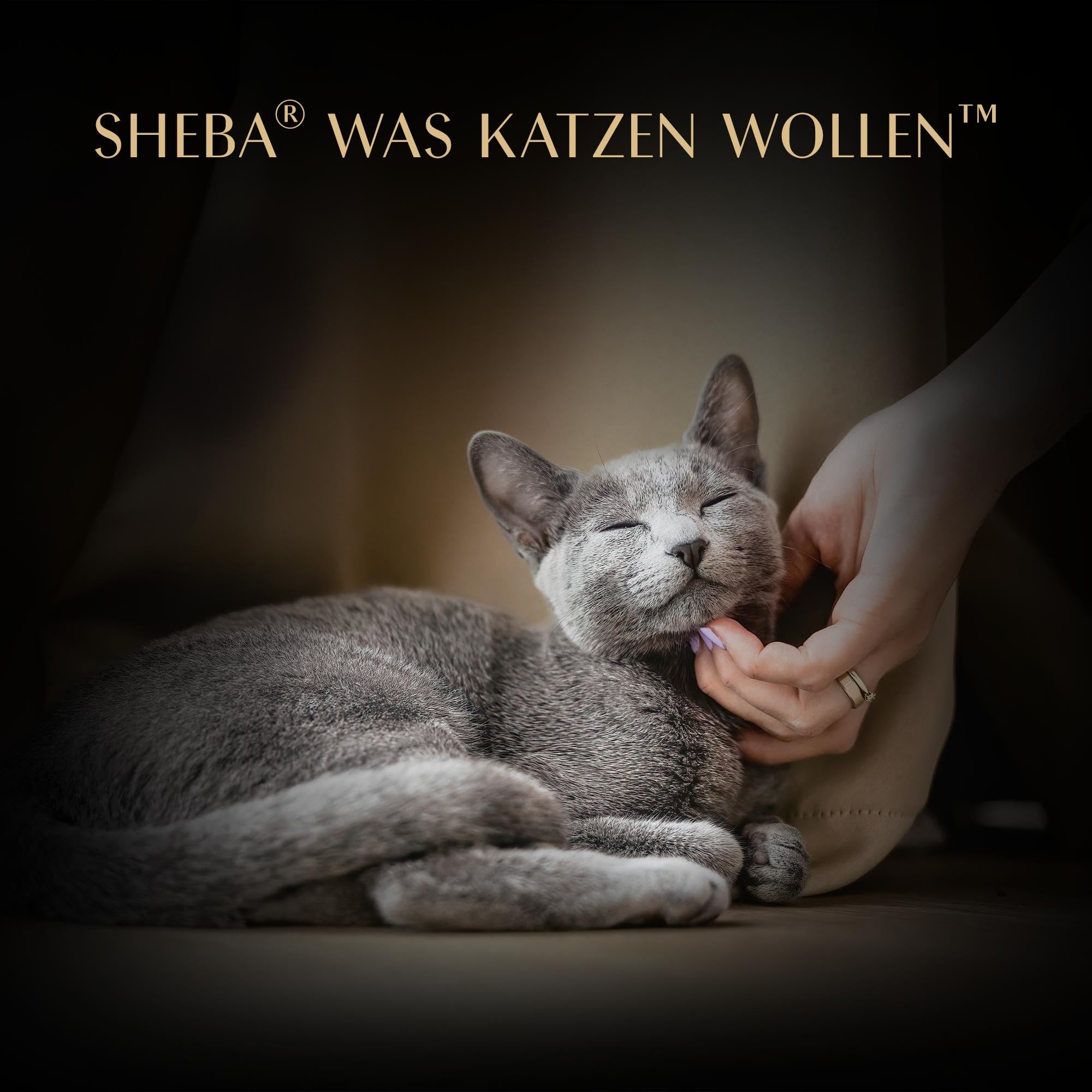Sheba Soup Mix Nassfutter 32x40g Huhn Fisch getreidefrei