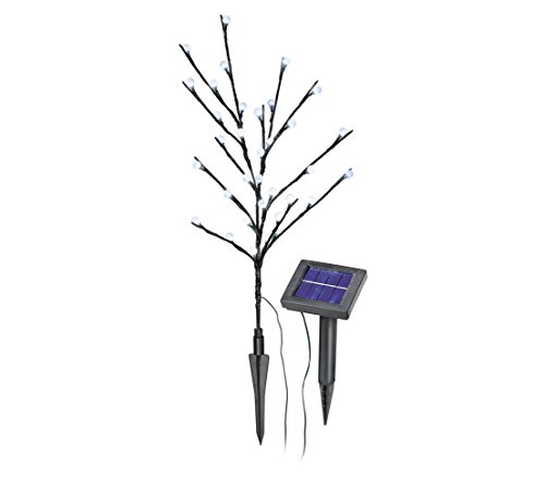 Dehner Living Solar Leuchtbälle Blütenstrauch 36 LED 60 cm