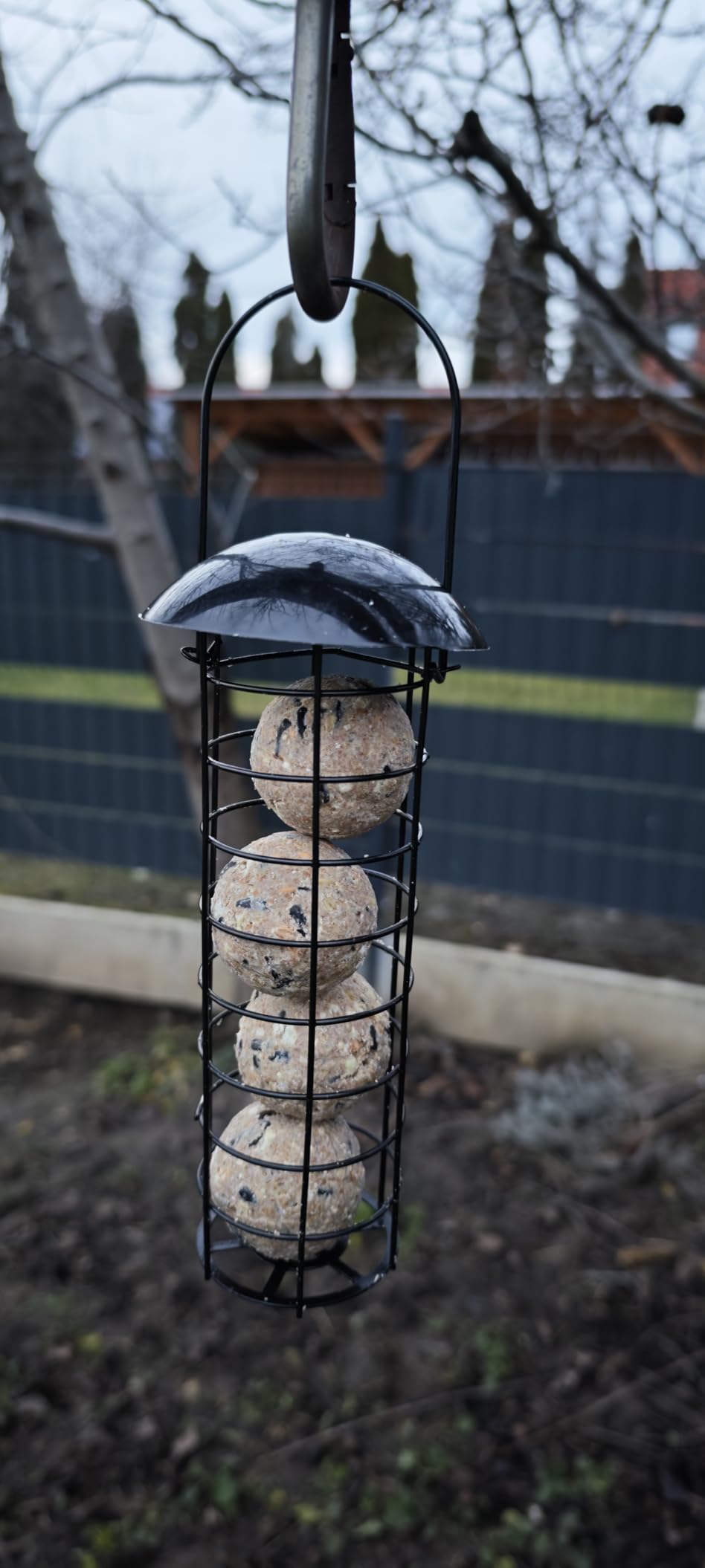 Dehner Natura Premium Wildvogel Futtersäule 4 Knödel fettreich