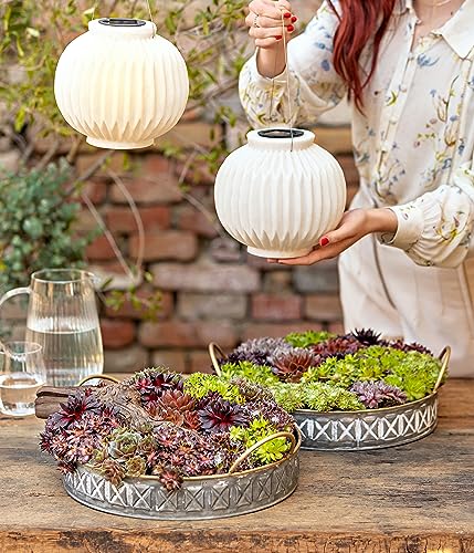 Dehner Belle Solar-Laterne Polyresin beige Ø 21 cm