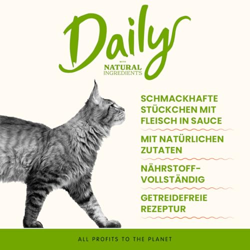 Almo Nature Daily Rind Nassfutter Katze 24x85g getreidefrei