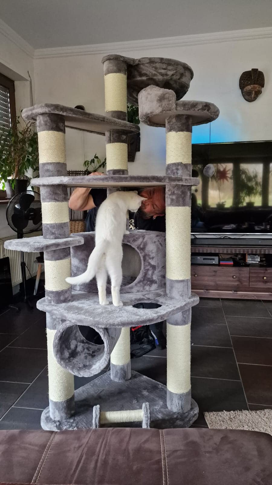Dehner Edda Kratzbaum 180 cm grau Sisal Plüsch