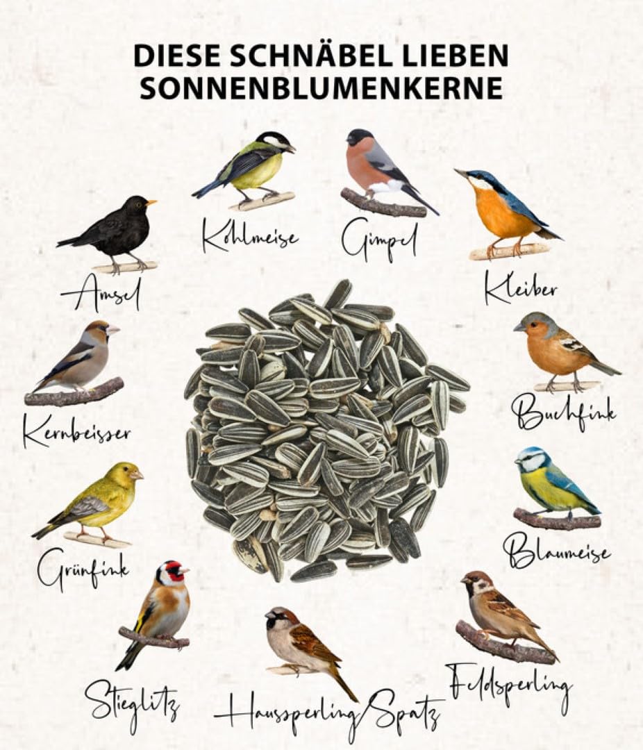 Dehner Natura Premium Wildvogelfutter Sonnenblumen 10kg proteinreich