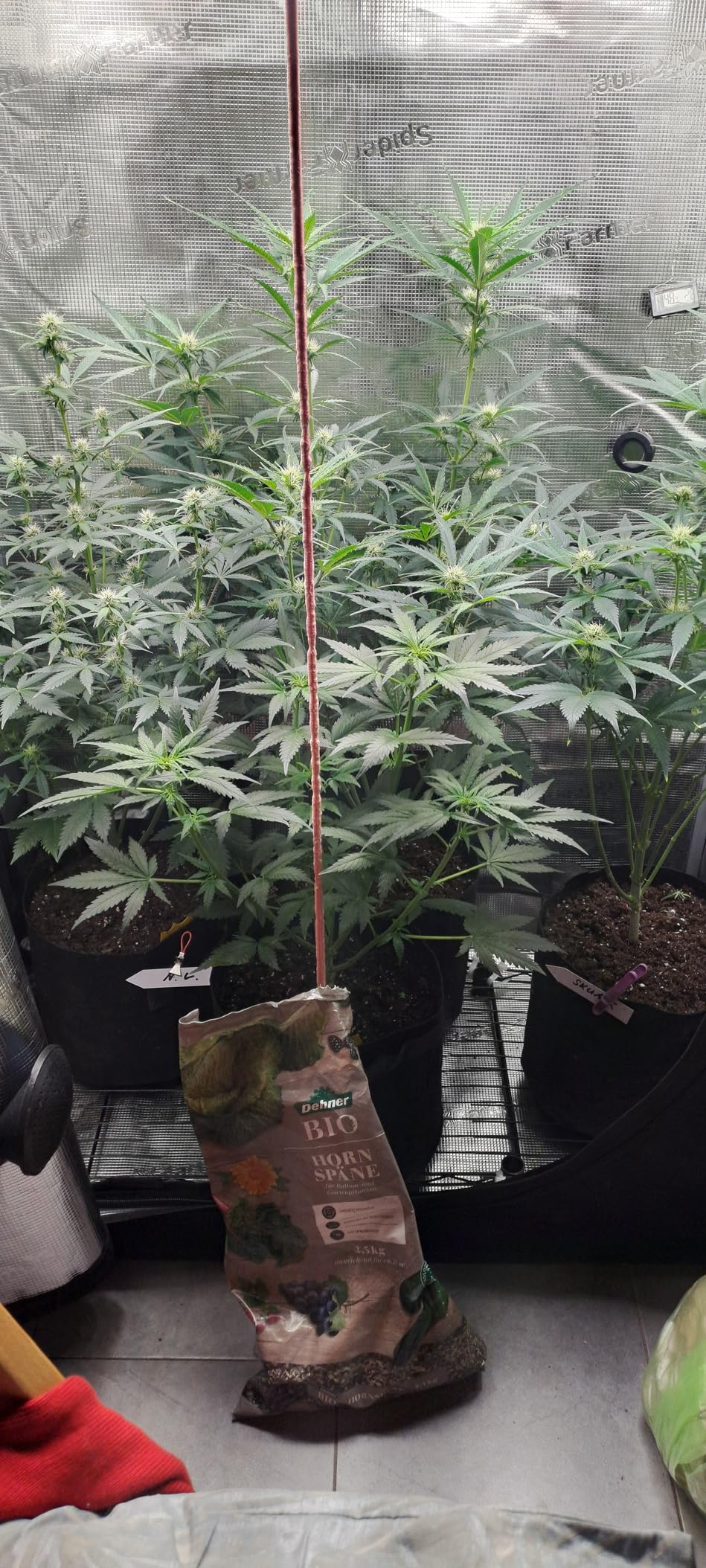 Dehner Bio Hornspäne Dünger 2,5kg stickstoffreich
