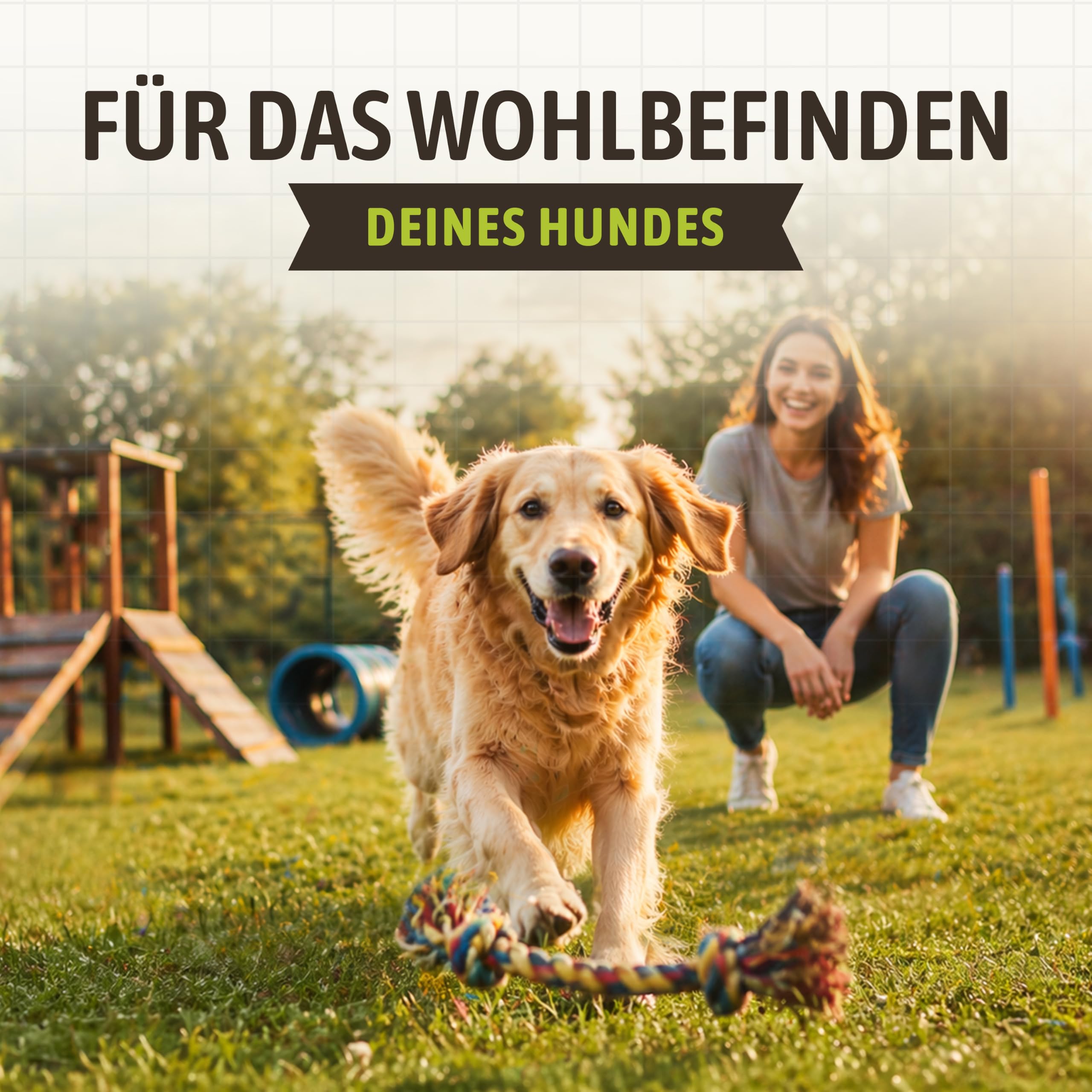 Mr. Crumble Huhn Adult Trockenfutter 15kg getreidefrei