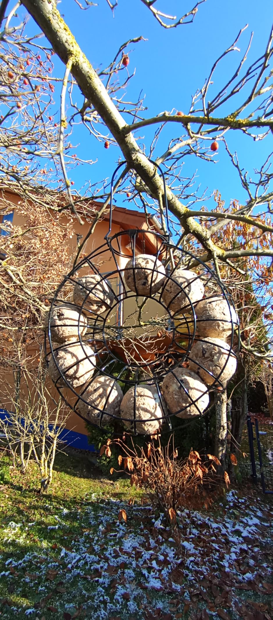 Dehner Natura Meisenknödelring Metall Ø24,5cm 10 Knödel