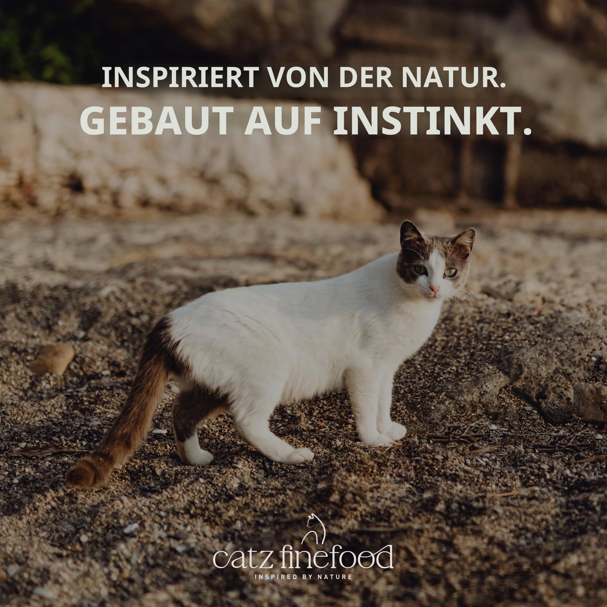 catz finefood N° 5 Nassfutter Lachs Geflügel 6x800g getreidefrei