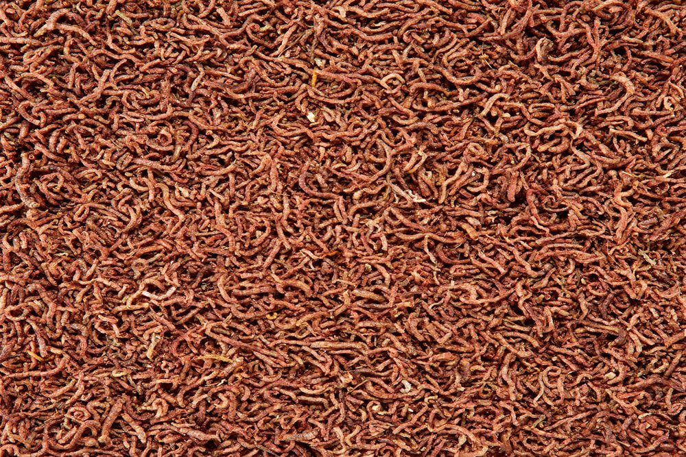 Dehner Aqua Rote Mückenlarven Fischfutter 10 g