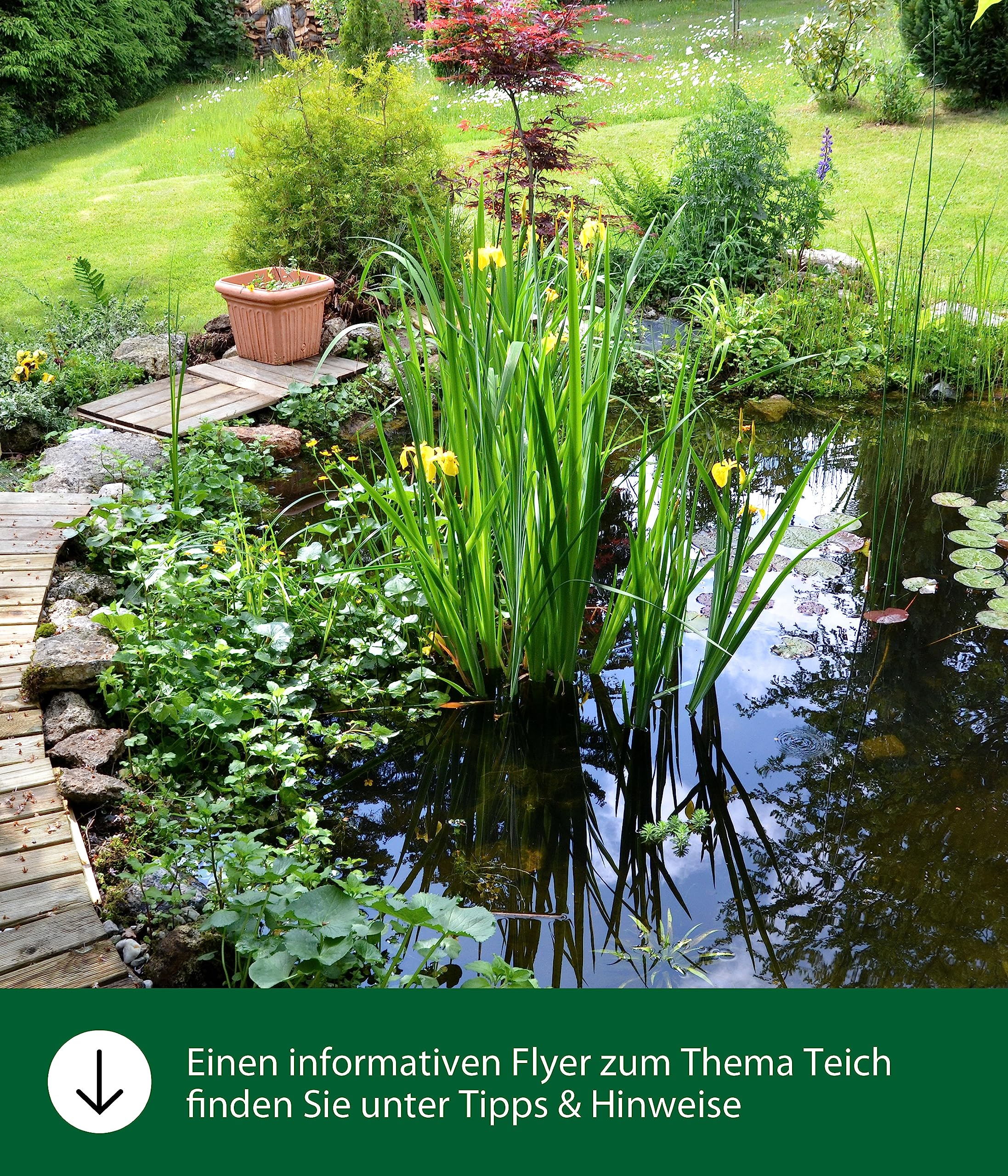 Dehner Aqua Gartenteich-Torf Teichpflege 10l 4000l pH-senkend